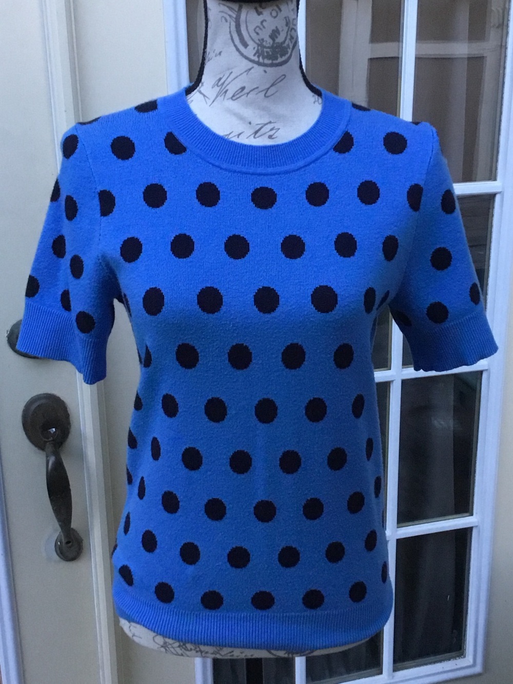 Free Assembly Blue Polka Dot Short-Sleeve Knit Sweater